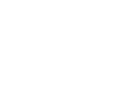 Tamer Mohsen Signature